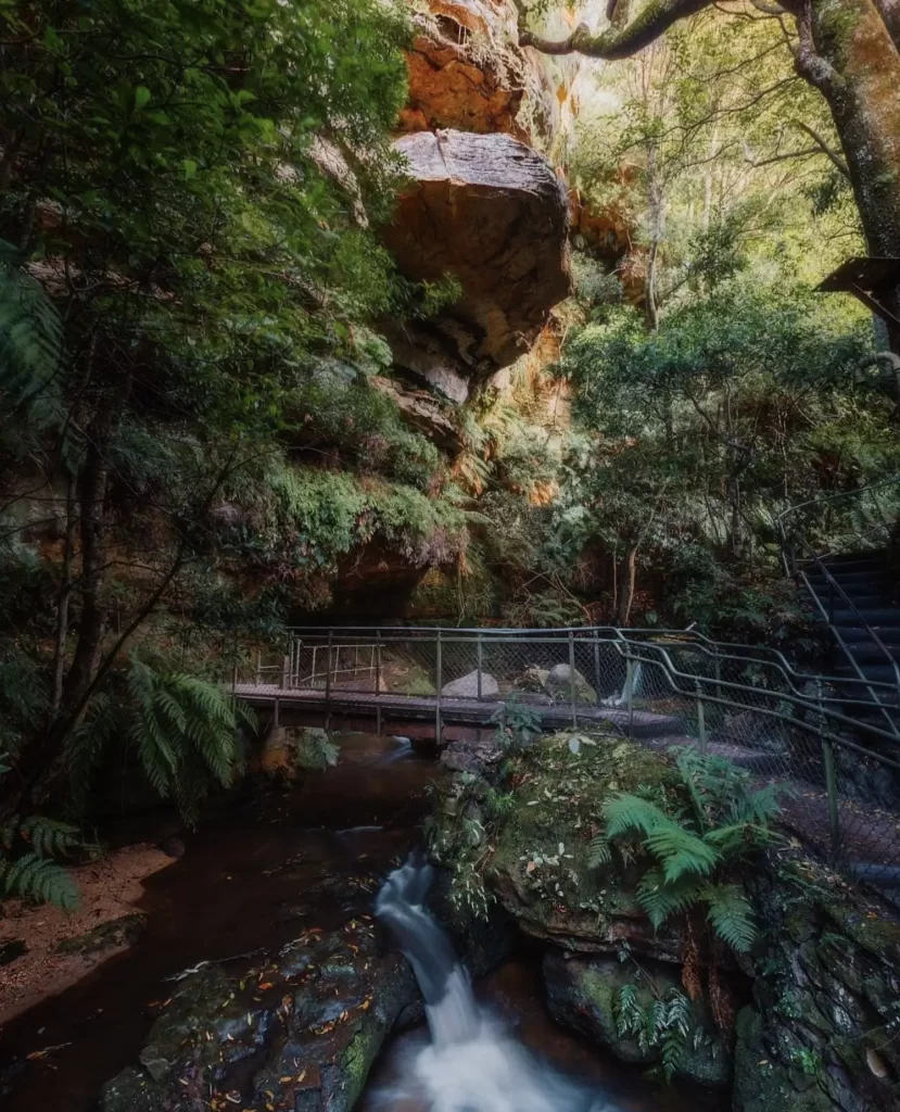Leura Cascades A Short Track That Turns Magical In Mist